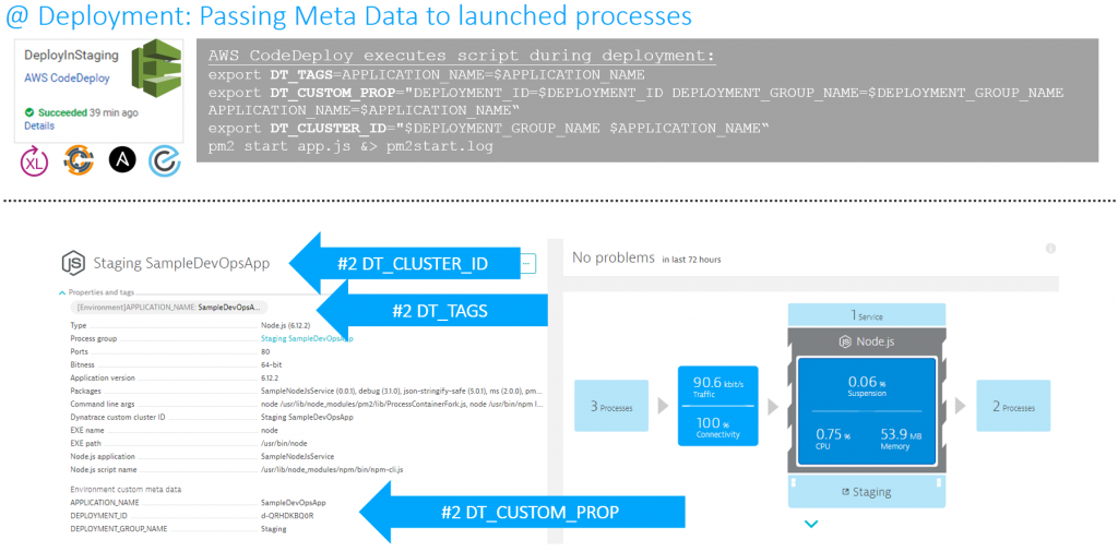 Passing meta data to Dynatrace monitored entities through your deployment scripts. Works with CodeDeploy, Chef, Puppet, Ansible, Electric Flow, XLRelease …