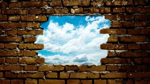 vulnerability assessment