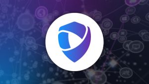 vulnerability management