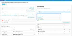 Web applications connected to the vulnerability