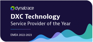 Service Provider of the Year Award