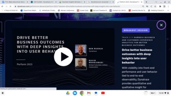 Screenshot from Perform session.