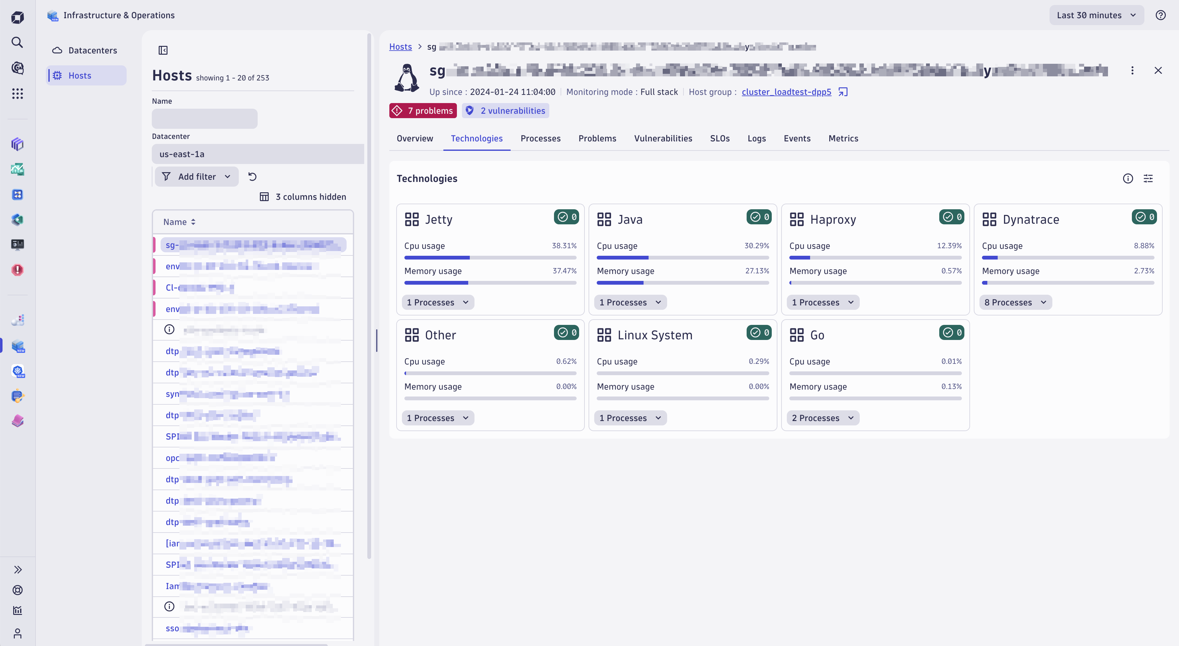 Figure 3. Host technologies in use with status information and links to processes.