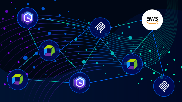 Amazon Q Developer CLI and Dynatrace