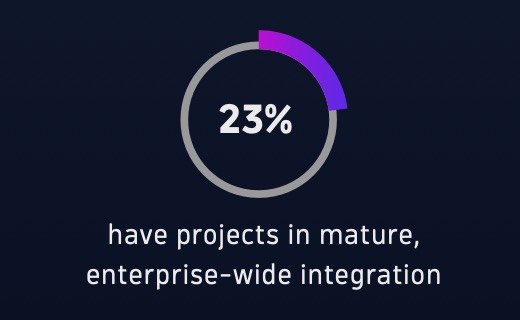 23% have projects in mature, enterprise-wide integration