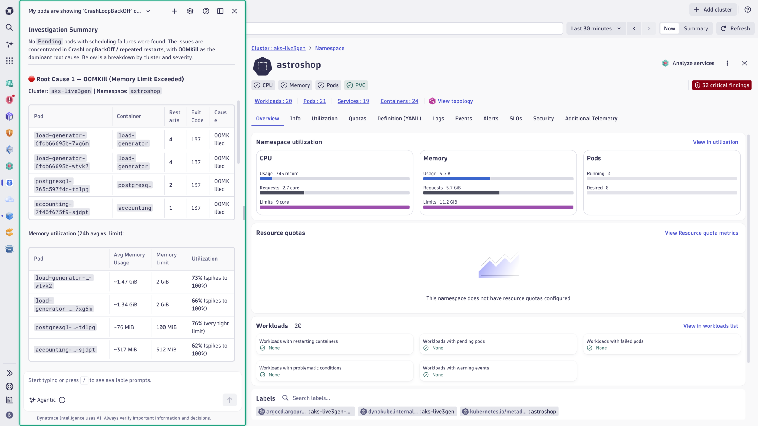 An embedded conversation via Dynatrace Assist